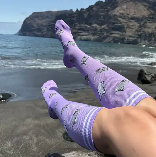 purple cat sm, purple cat lxl
