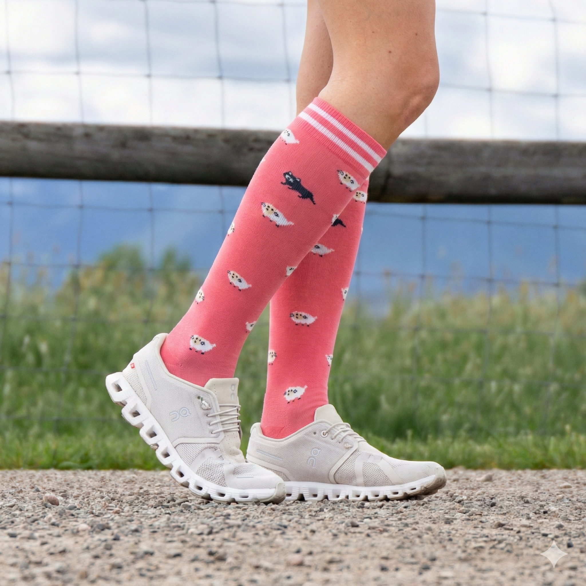 rose sheep sm, rose sheep lxl