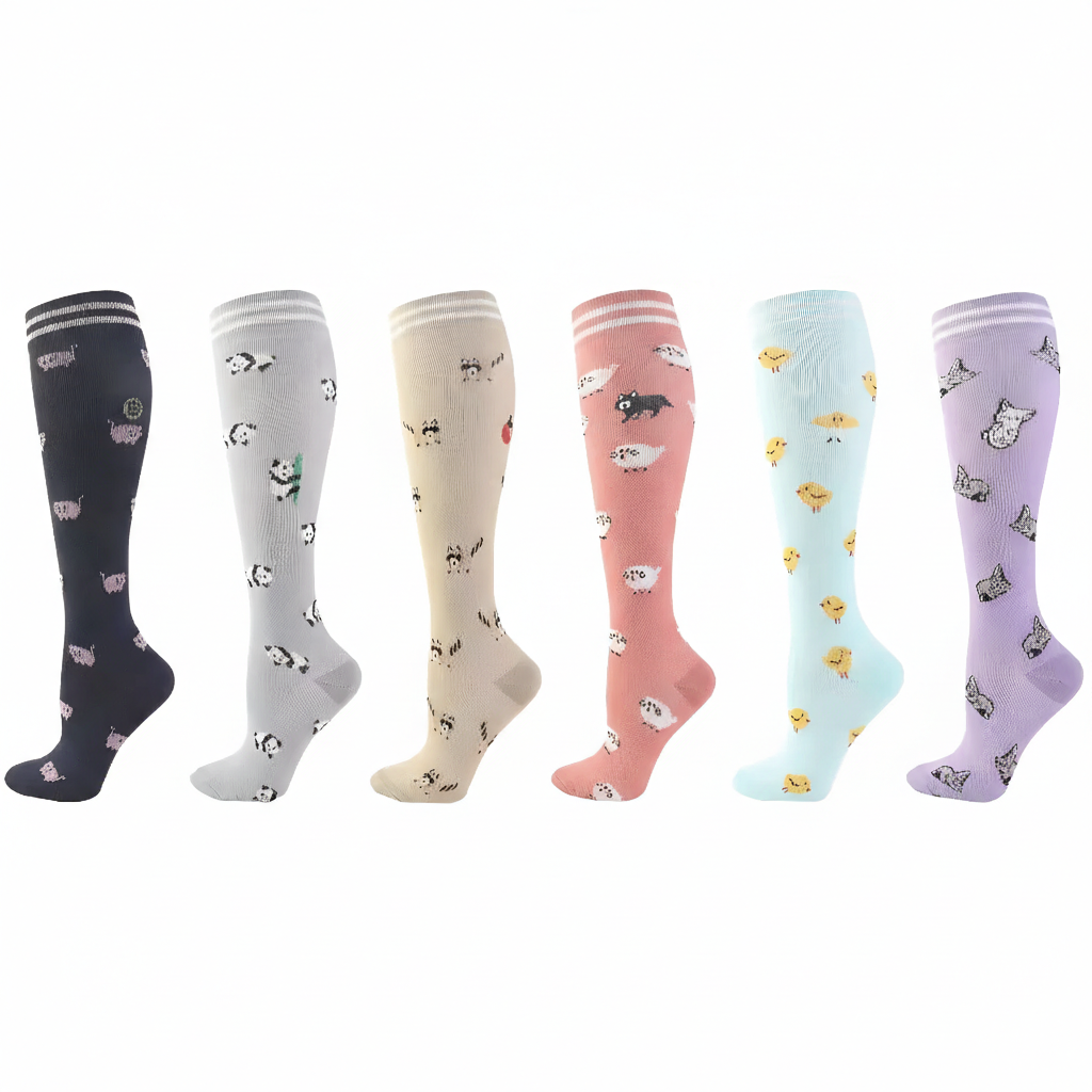 Premium 6 Pack Compression Socks