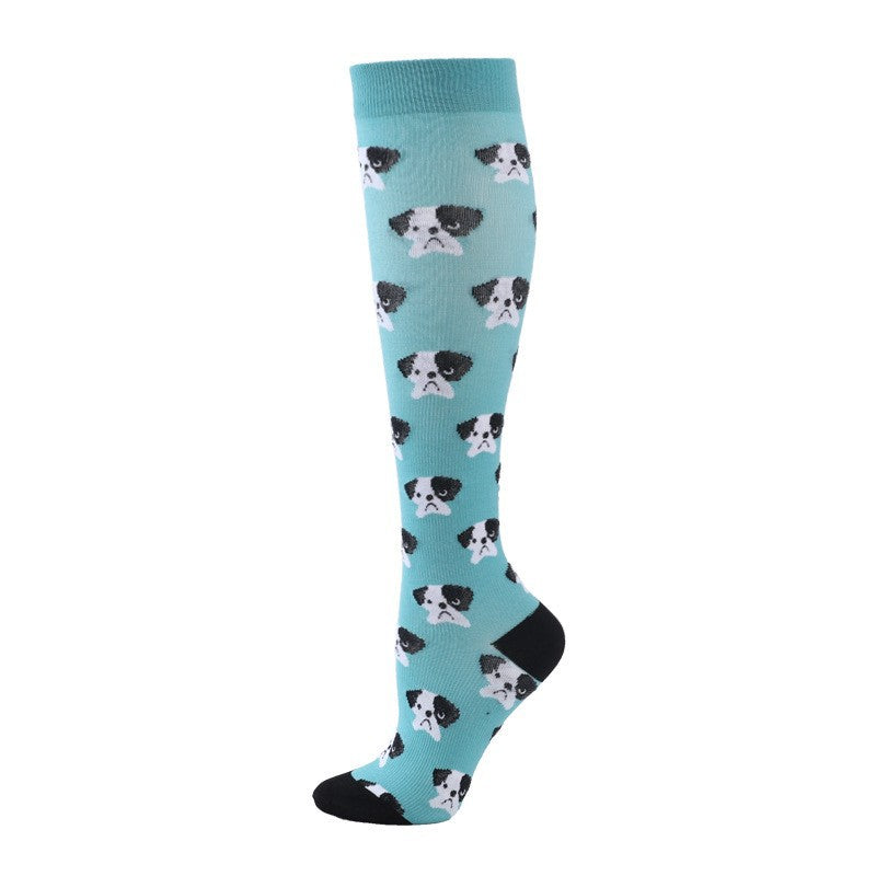 blue puppy sm, blue puppy lxl