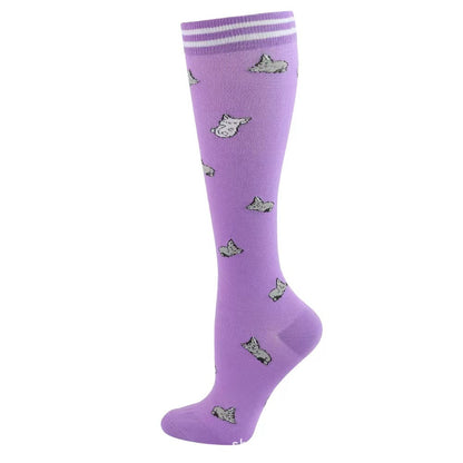 Purple Cat